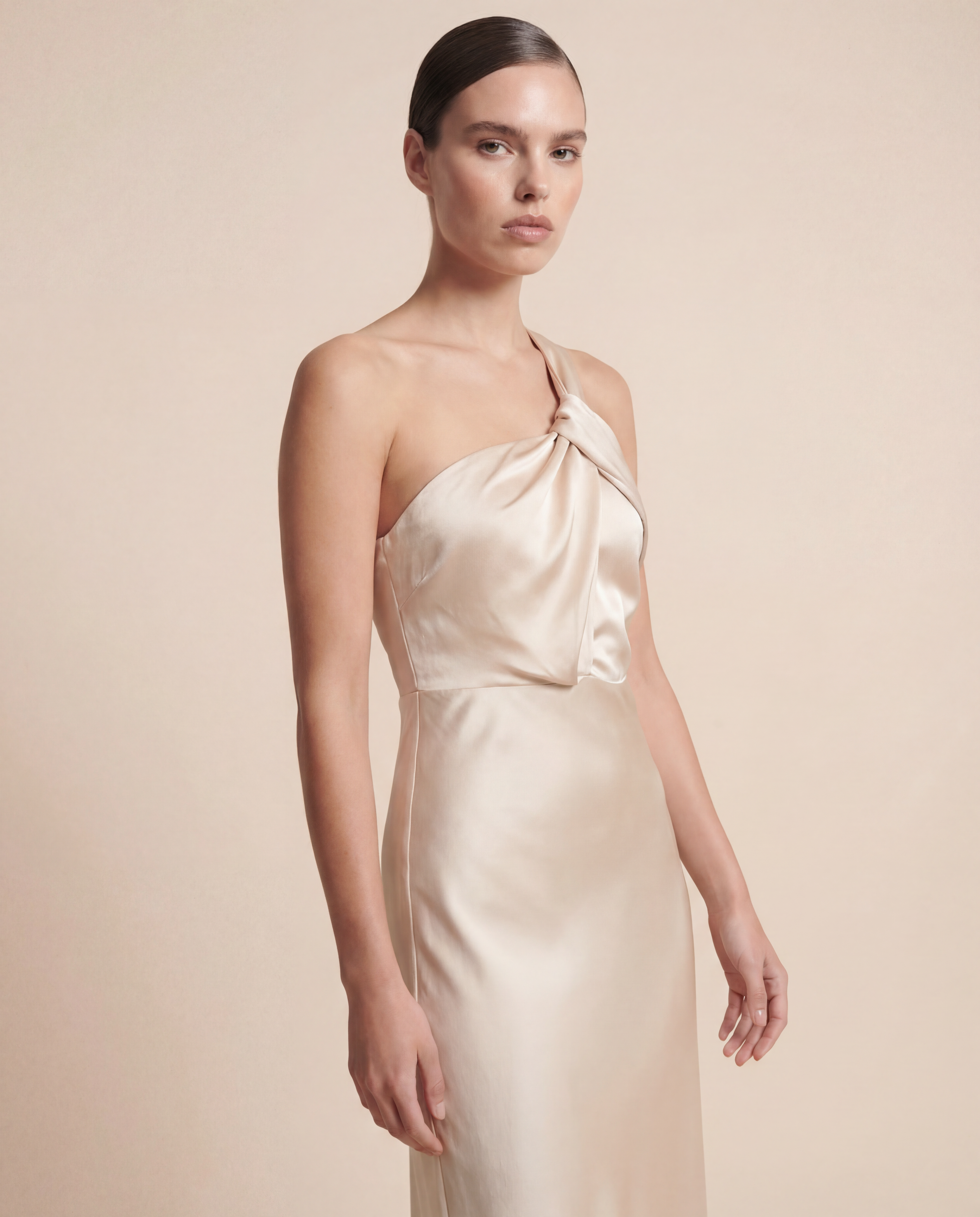 Selena Elegant Maxi Dress